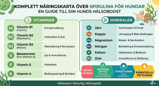 Naturlig superfood för din hunds hälsa!
