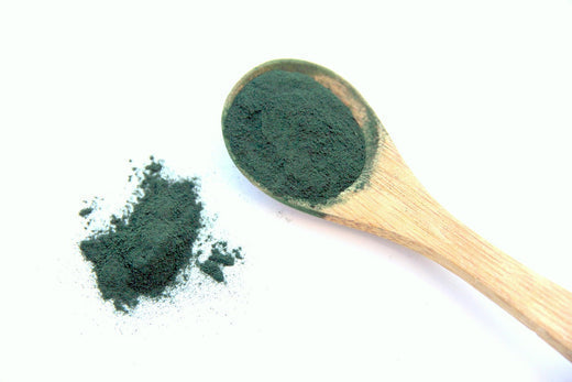 Spirulina-Pulver-xDogsab-food-super-hund-pet