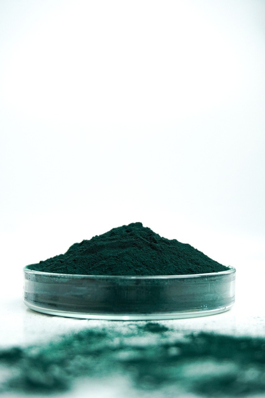 Super-Food-Spirulina-Vegan-ECO-dog-Pet-family-love-xdogsab-green-Future-bild5