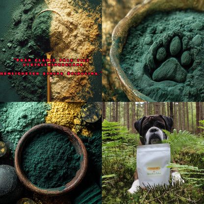 Sample Spirulina Powder for Dogs – 6 Gram Glass Jar, 5 pack