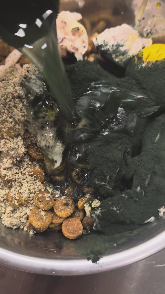 Naturlig superfood för din hunds hälsa!