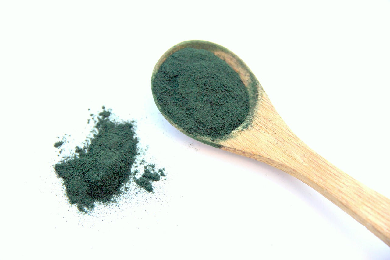Super-Food-Spirulina-Vegan-ECO-dog-Pet-family-love-xdogsab-green-Future-bild2